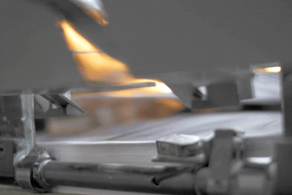 Direct Mail Campaigns